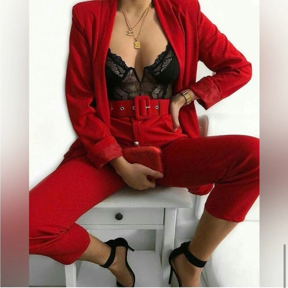 Zara Red Pleated Business Casual Blogger Trouser Pants - Picture 3 of 11